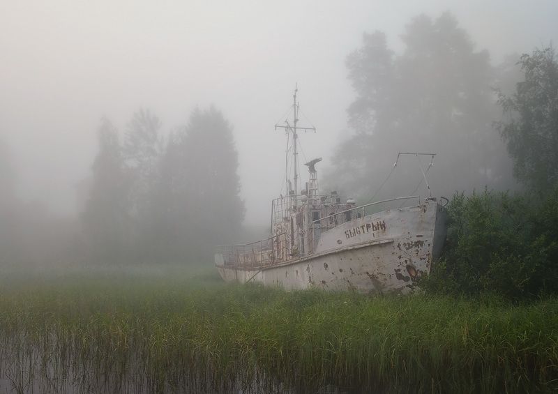 Забвение фото превью