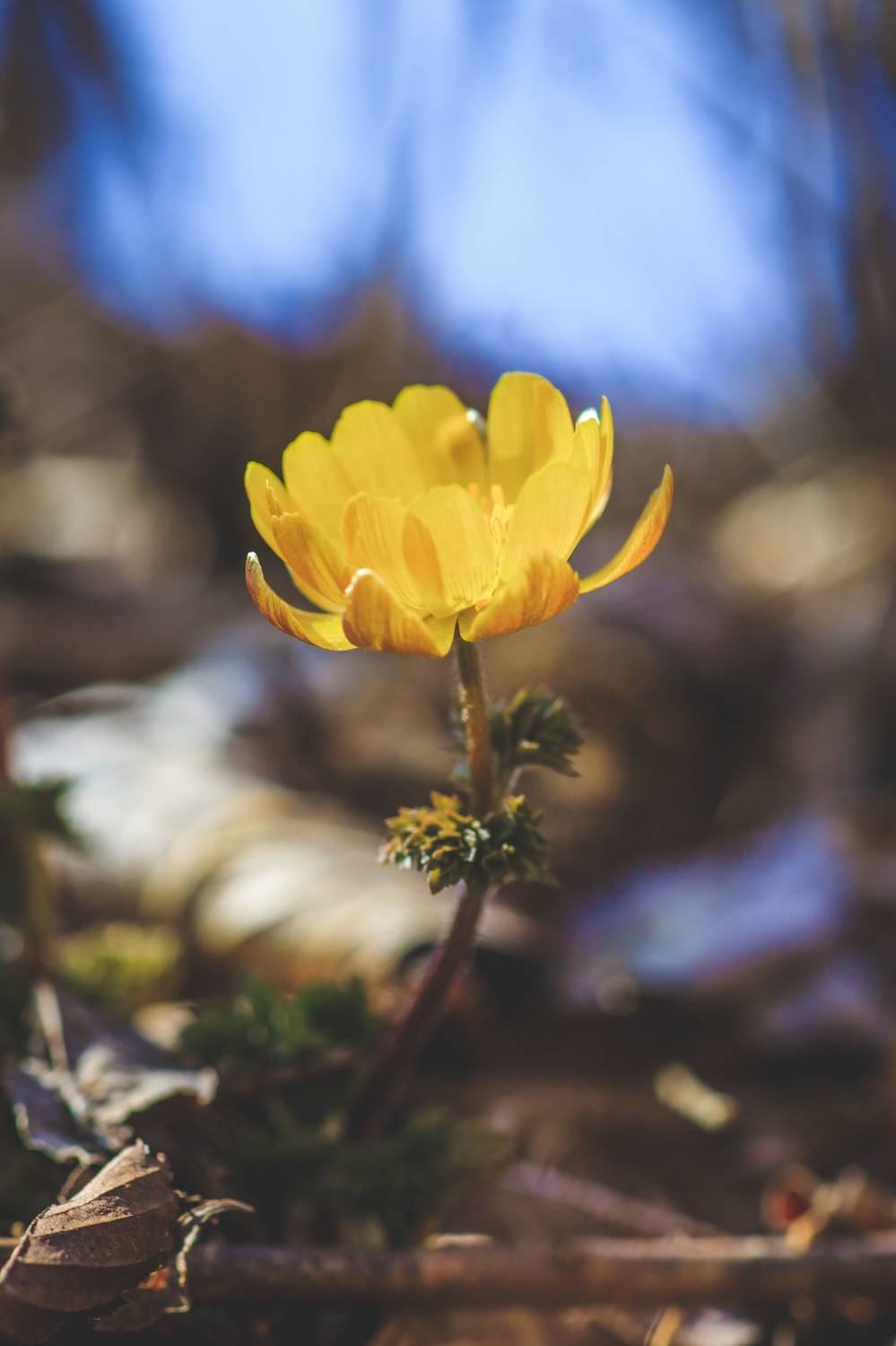 , Сигида Дмитрий