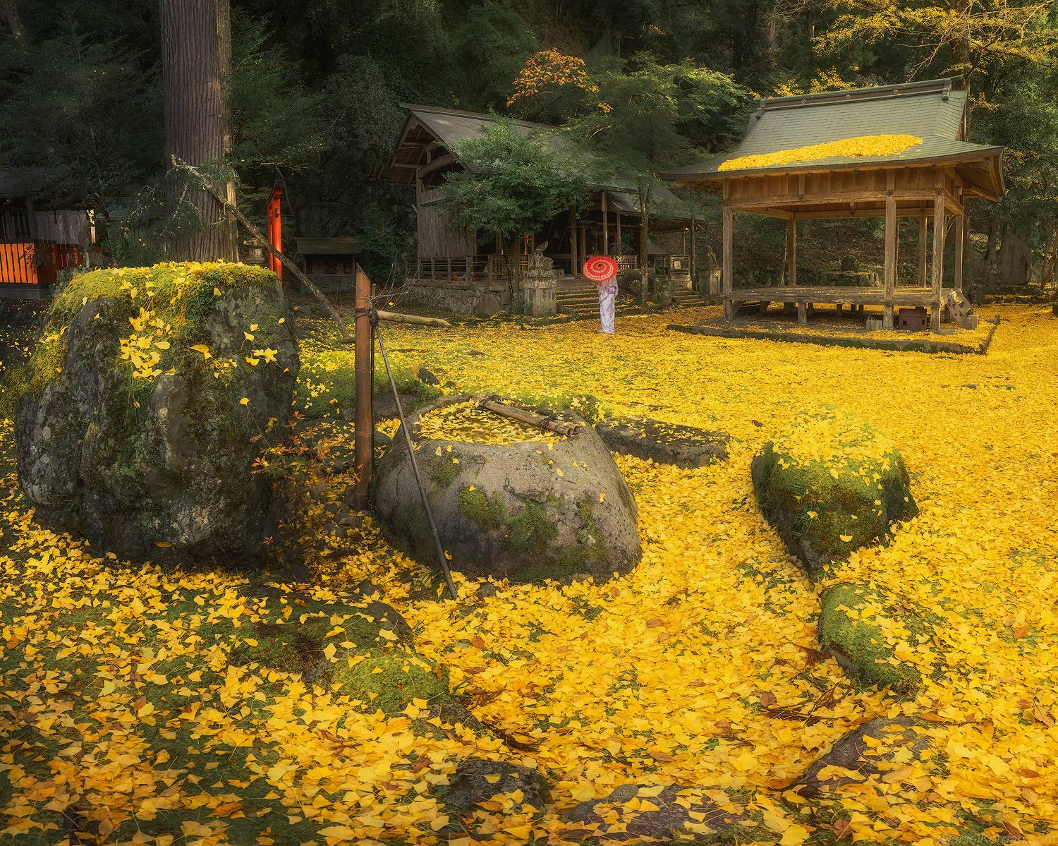 , Даниил Коржонов