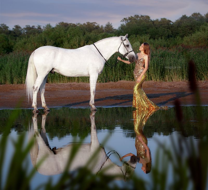 horse, horses, лошадь, конь, конныйфотограф, кэнон, canon, конный фотограф Яна Орлова, 7020028, лошади, фотографияслошадью, фотосессияслошадью, фотосессиислошадьми, коннаяфотография, pferd, horsephotographer, женский портрет, девушка   фото превью