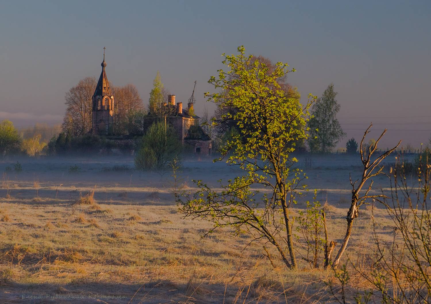 , Елена Рубинская