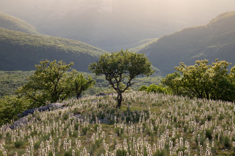 ... фото превью