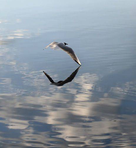 Красивый полёт