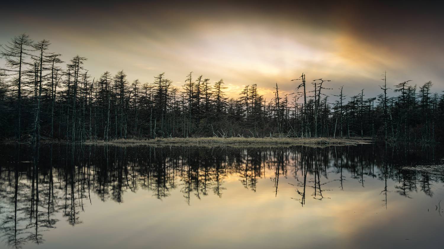 , Антон Сидоров