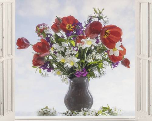 Весенняя радость