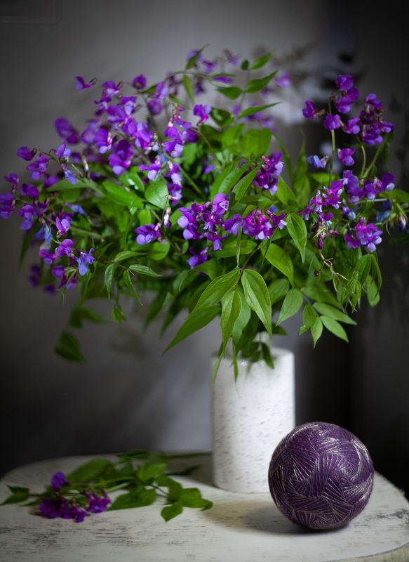 Чина весенняя фото превью