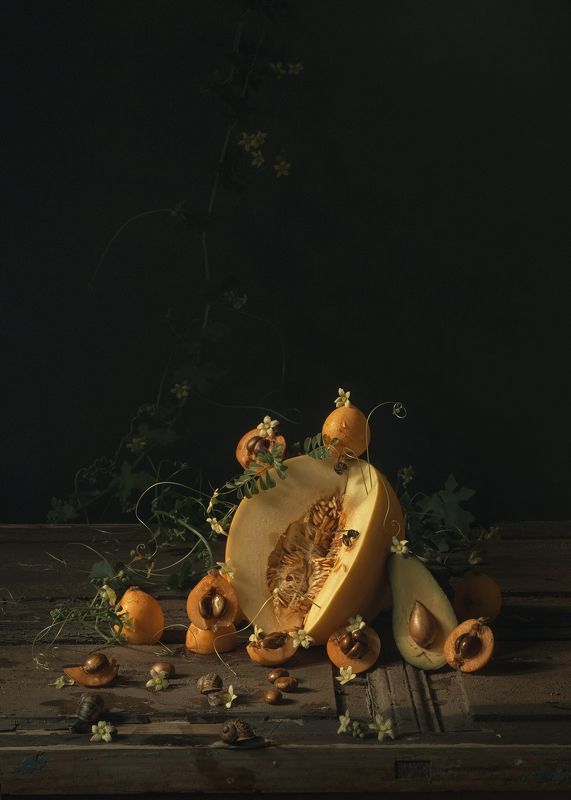 El sol фото превью