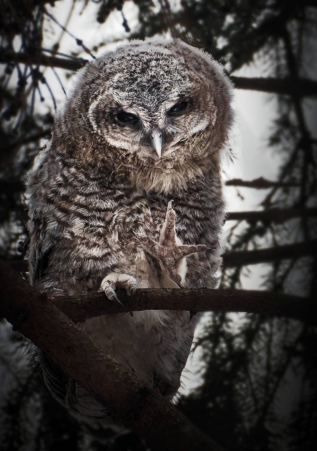 , Фото Александр