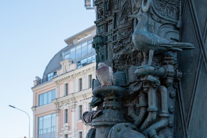 Птицы фото превью