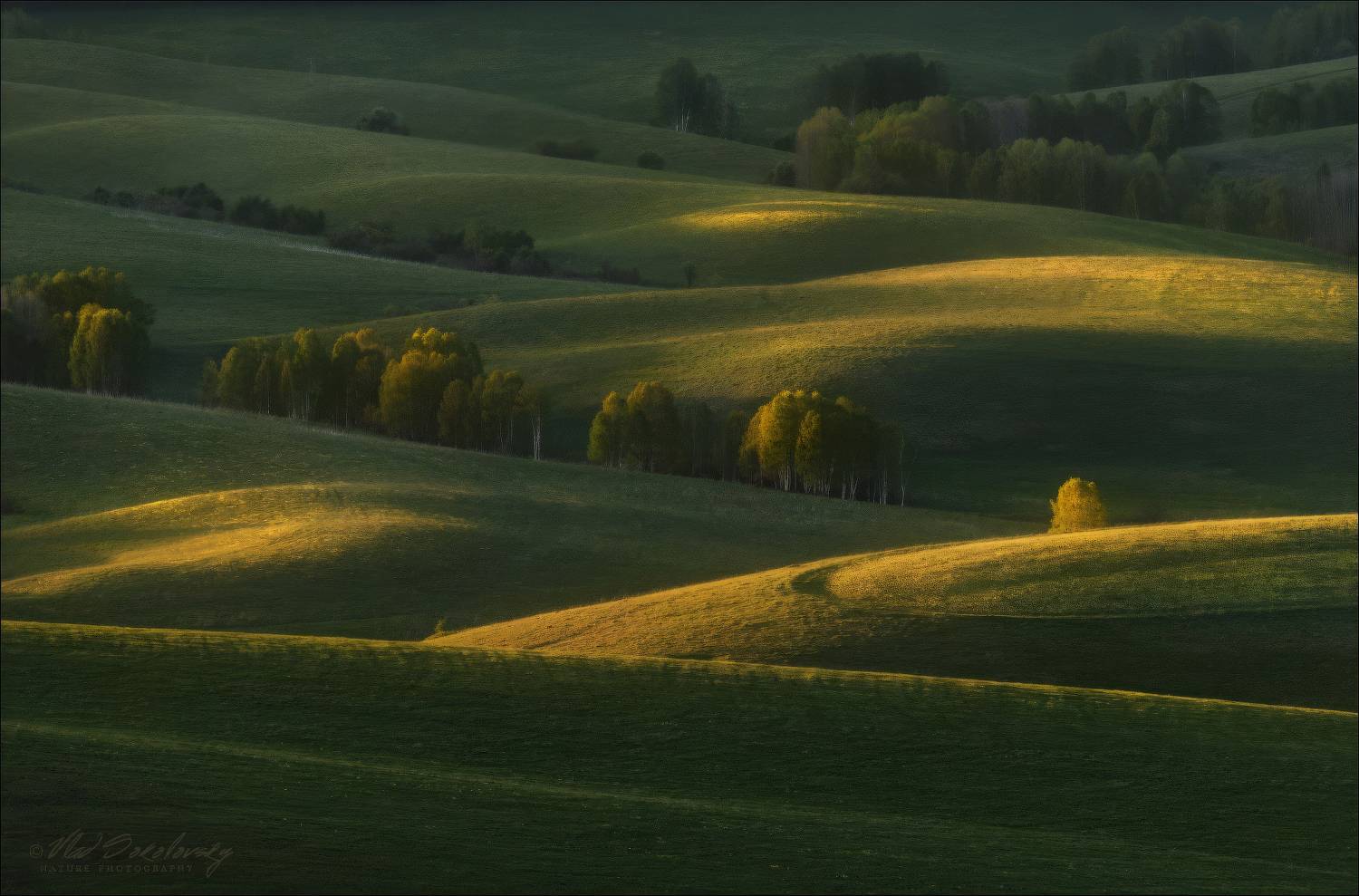 , Влад Соколовский