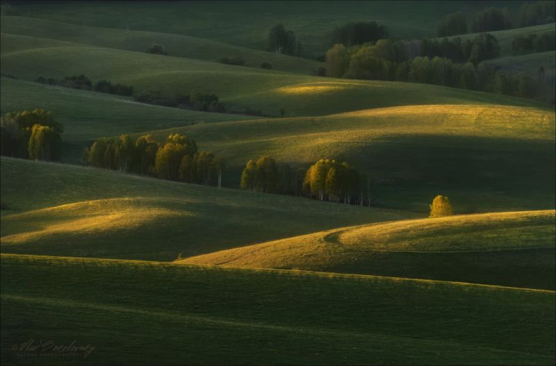 Лето по-алтайски.. фото превью