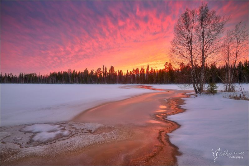 Новгуда фото превью