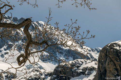 Вербная среда (2)