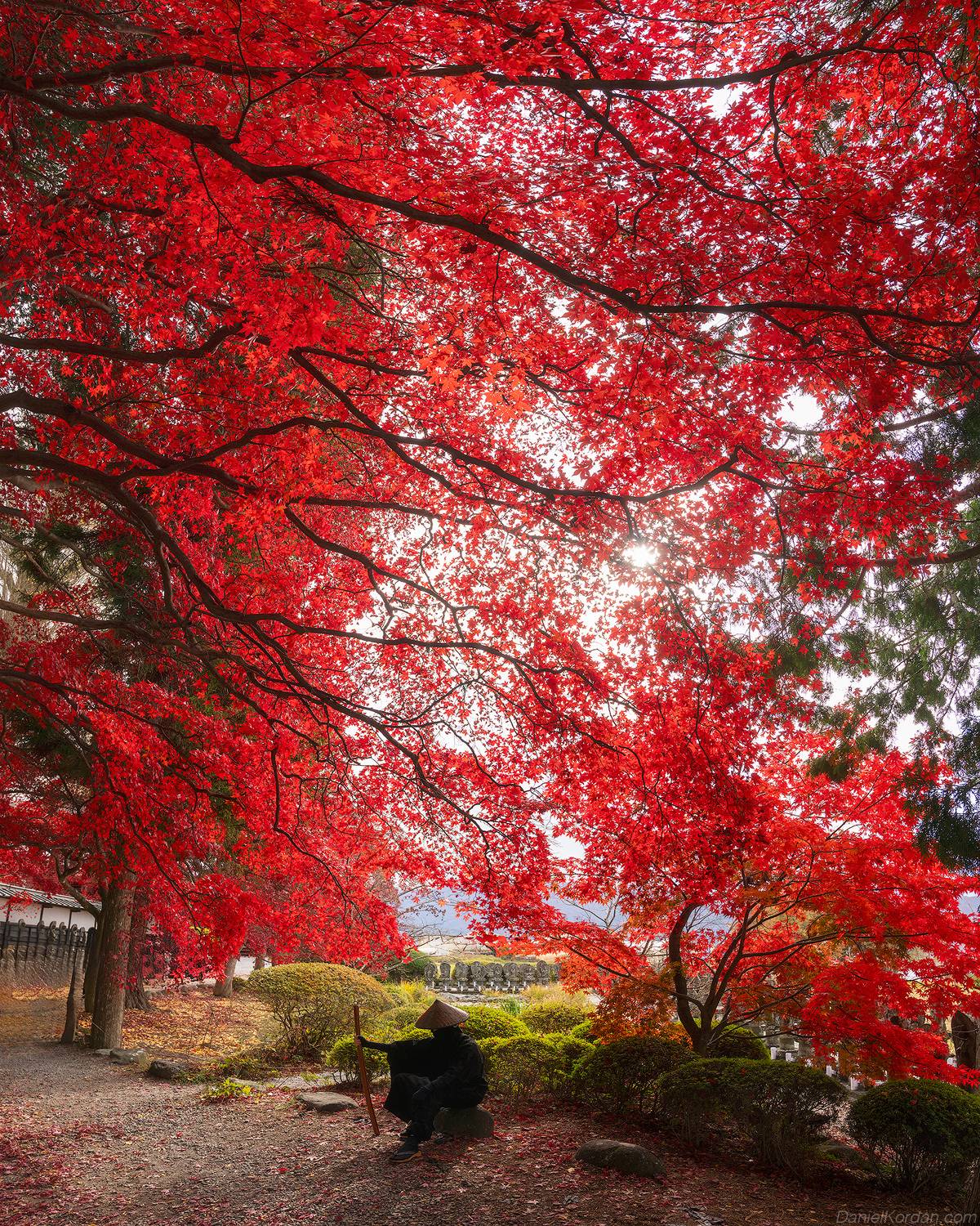 , Даниил Коржонов