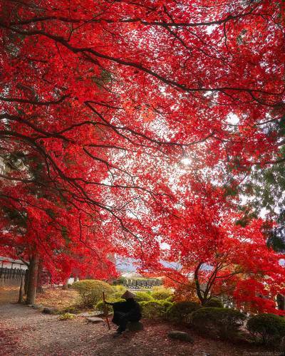 In Japan - Kyoto