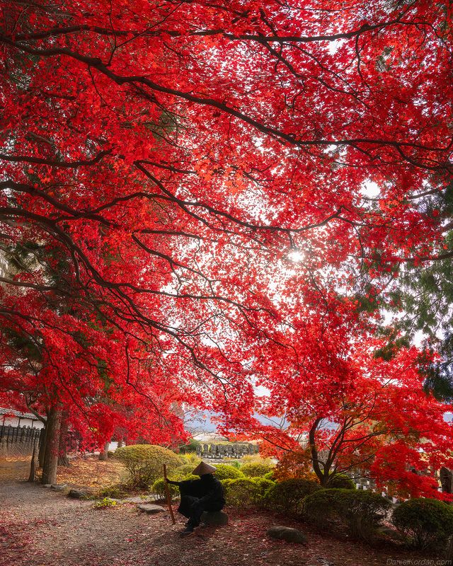 In Japan - Kyoto