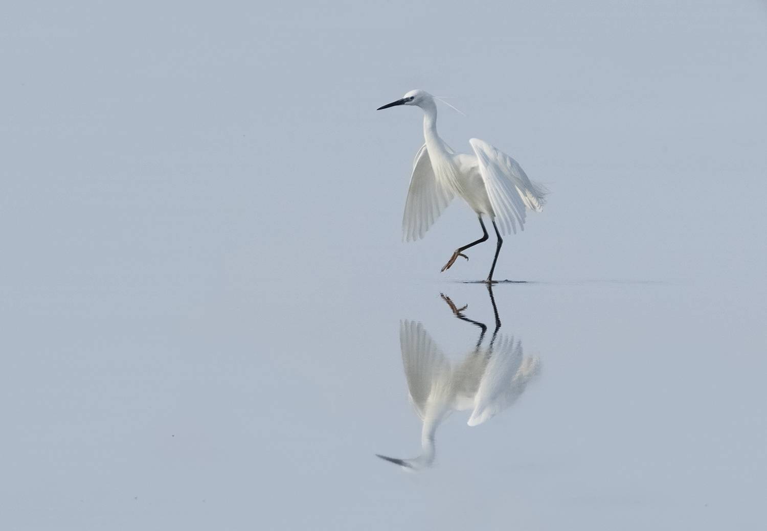 , Евгени Стефанов