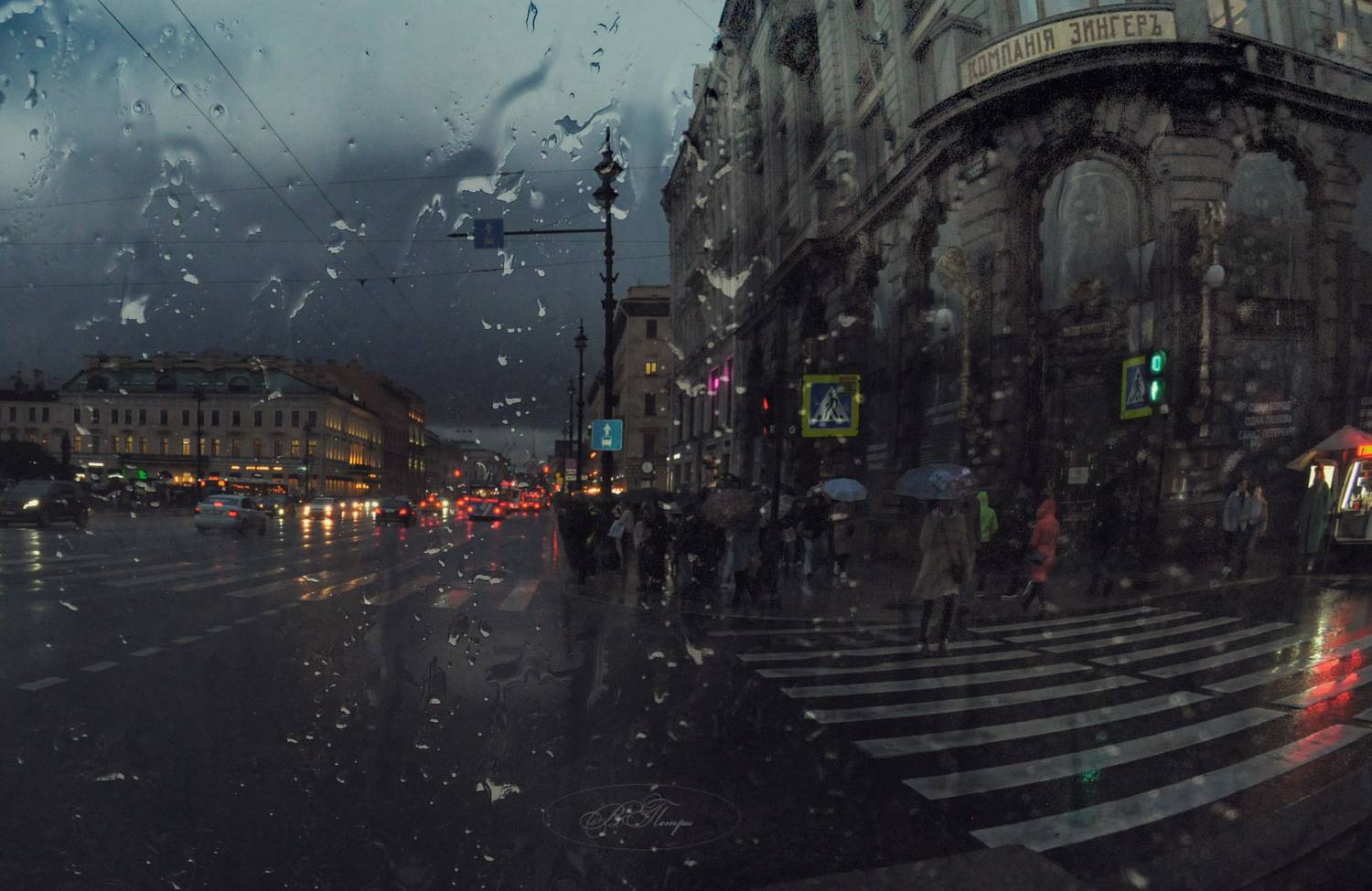 дождь люди зонты здания огни, Вера Петри