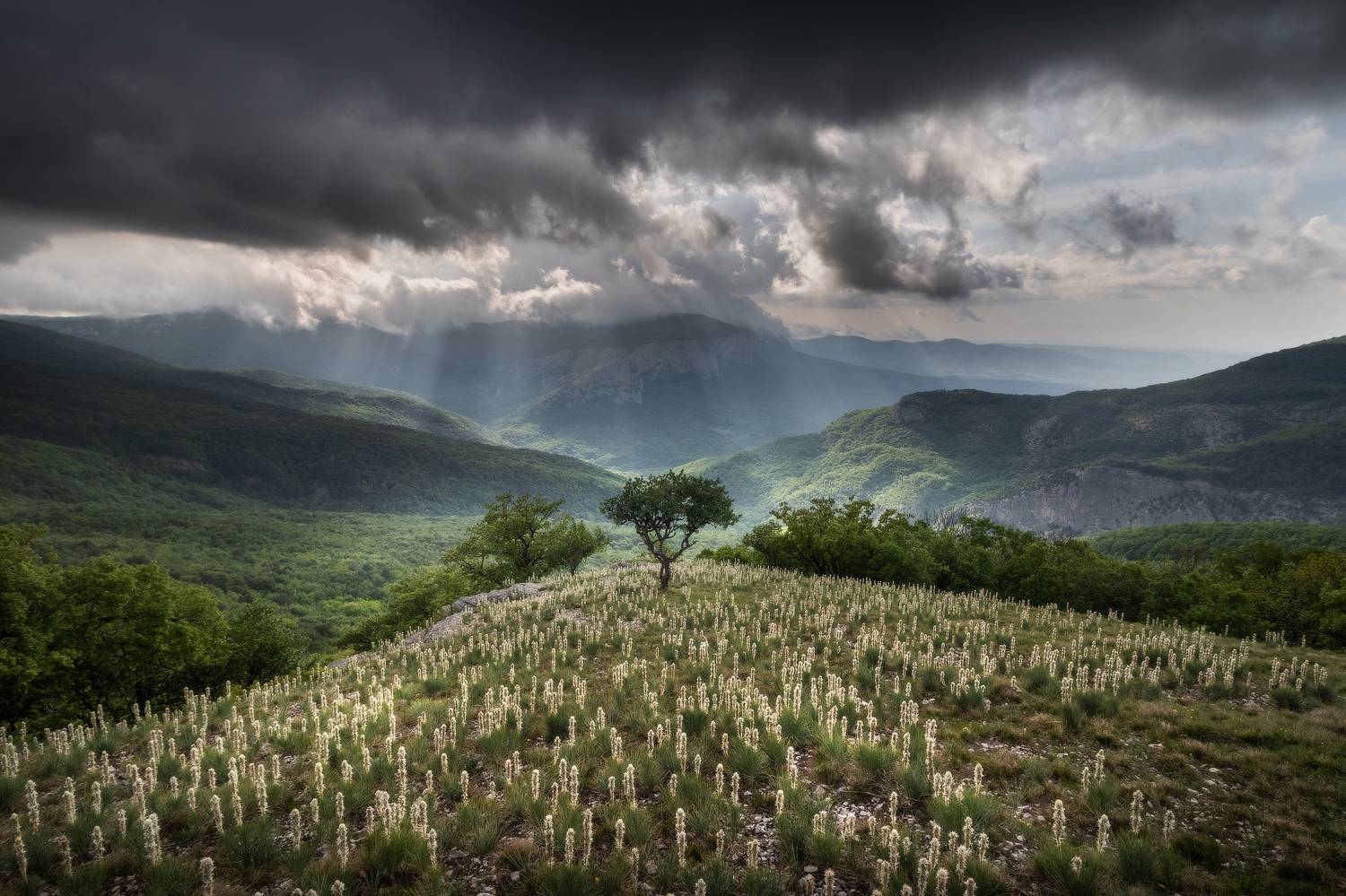 , Михаил Гапонов