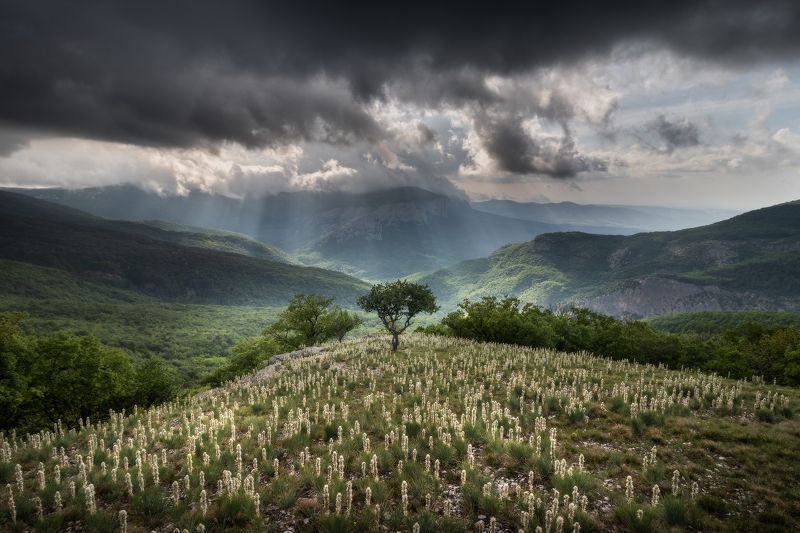 ... фото превью