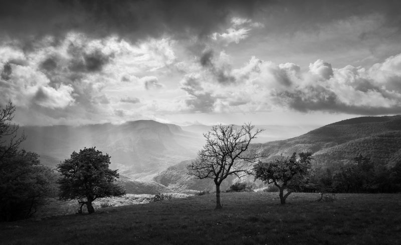 ... фото превью