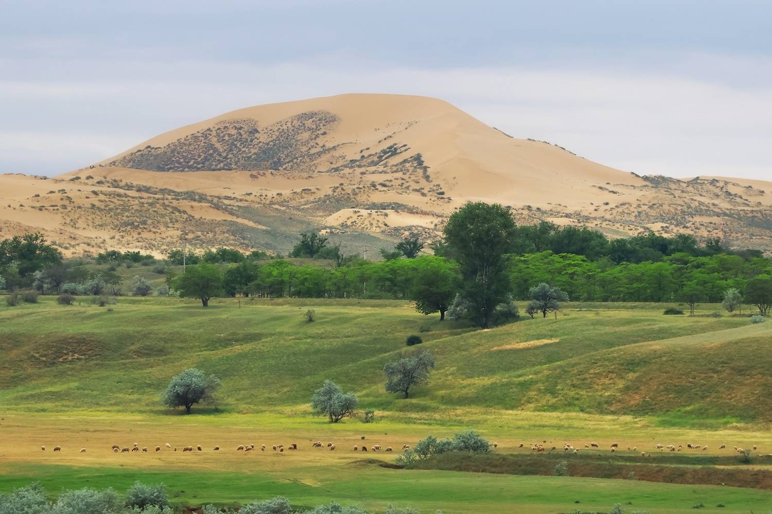 сары кум,дагестан,песок,песчаная гора,, Magov Marat