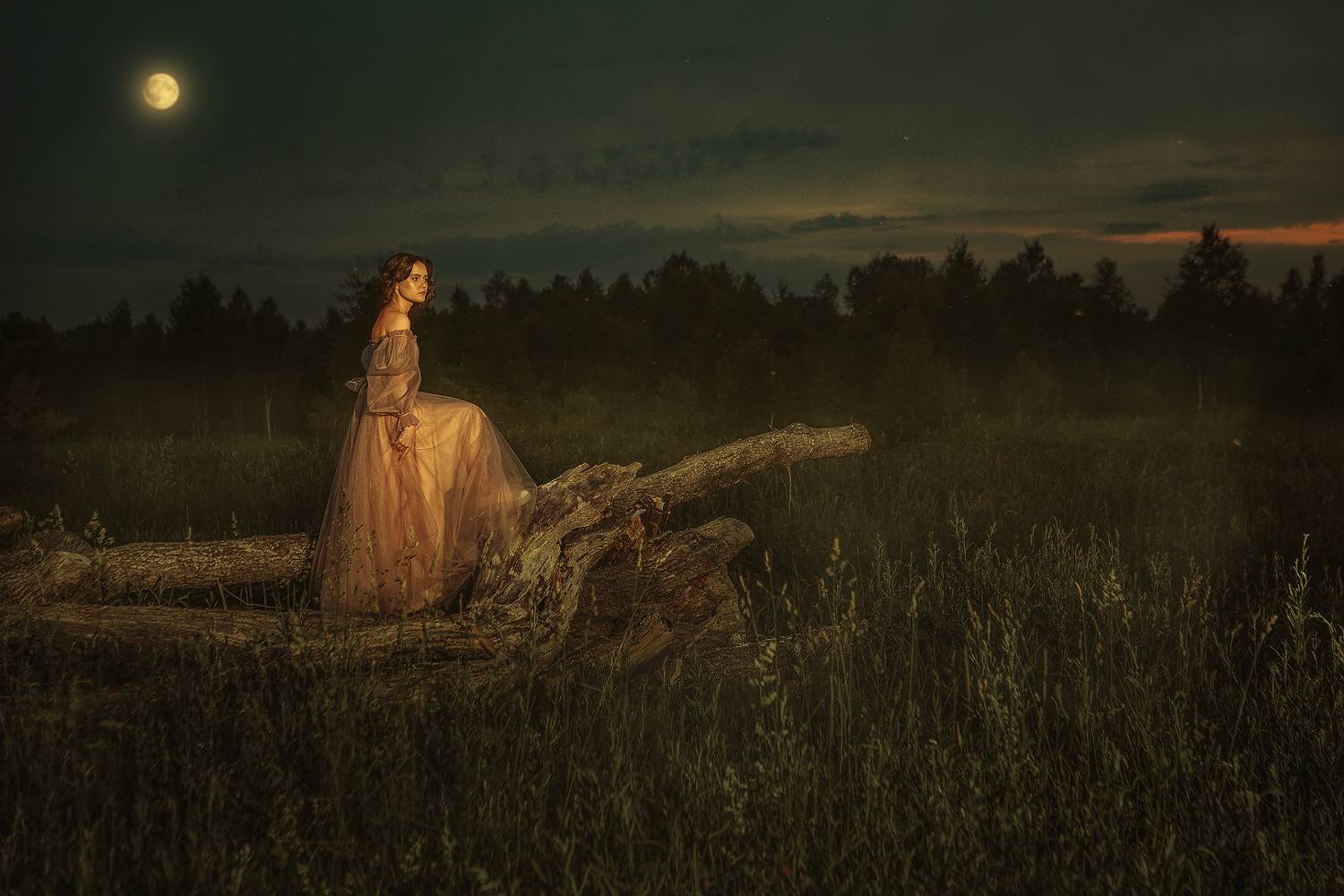 , Дмитрий Счеславский