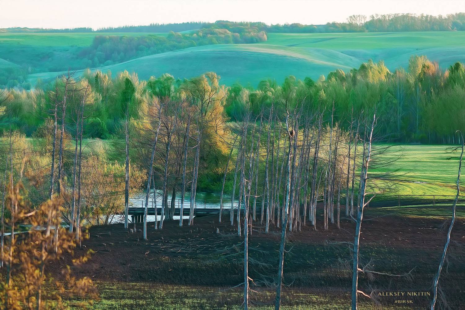 , Алексей Никитин