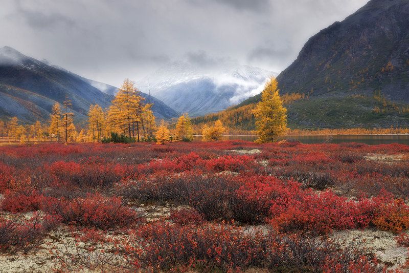 Колыма фото превью