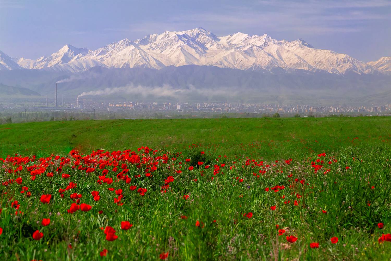 кыргызстан, Элина Магалимова