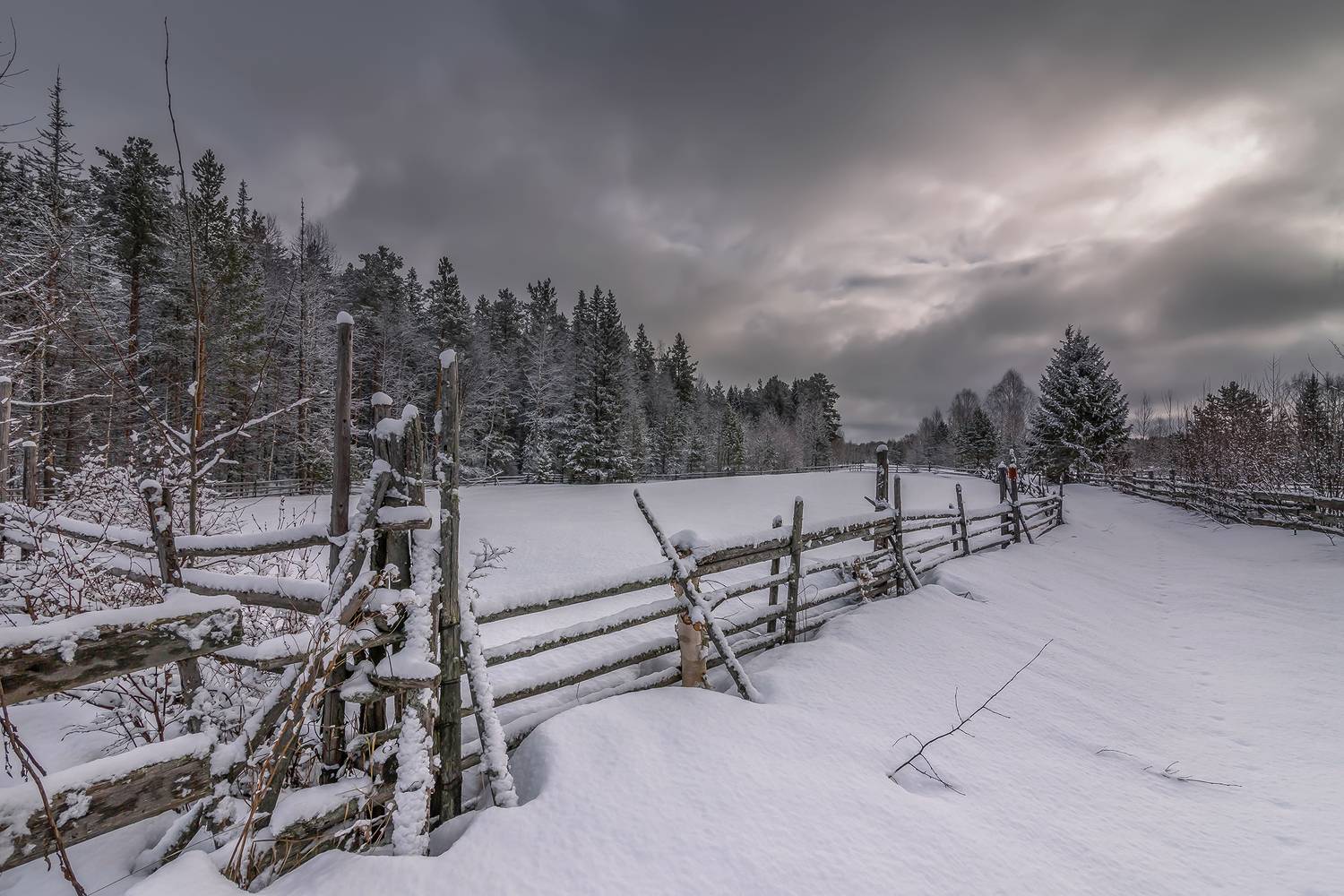 , Анкудинов Леонид