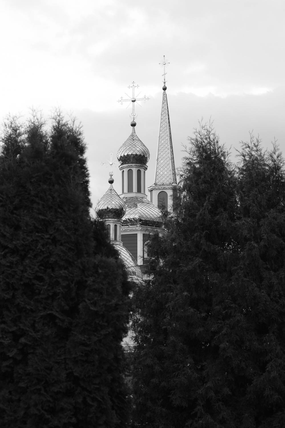 церковь борьба , Виктор Мошко