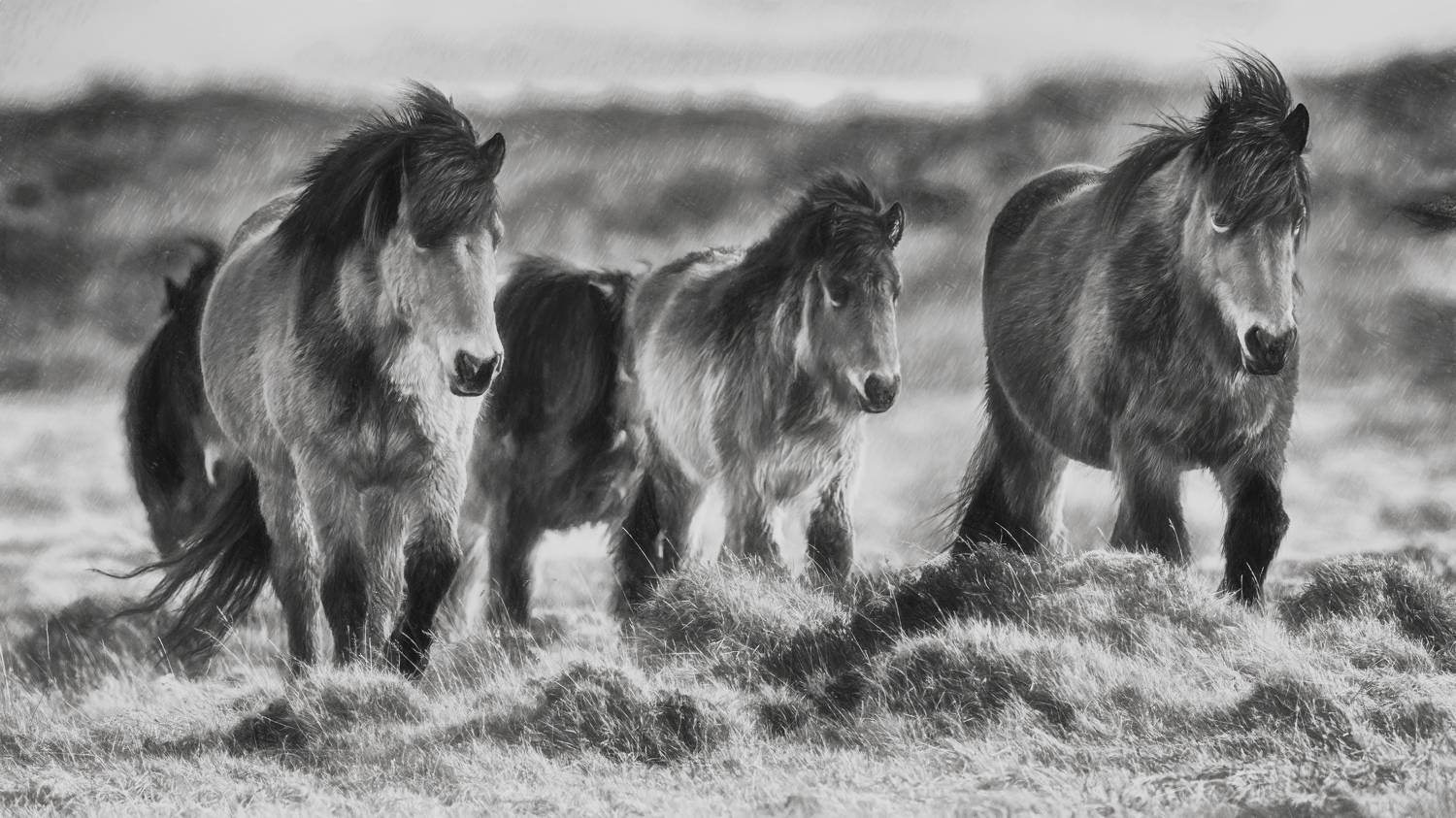 , Шварцман Евгений