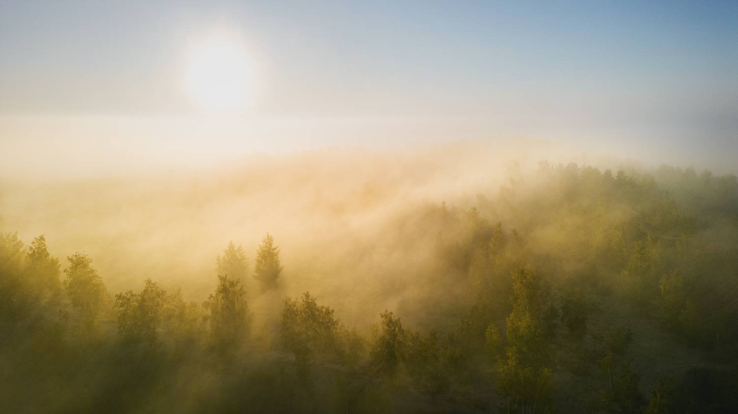 рассвет в кондуках, Сильва Татьяна