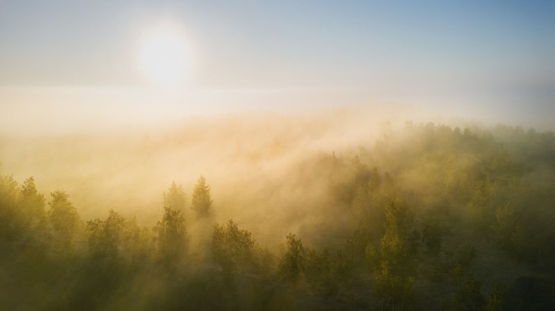 рассвет в кондуках Акварель на рассвете-3 фото превью