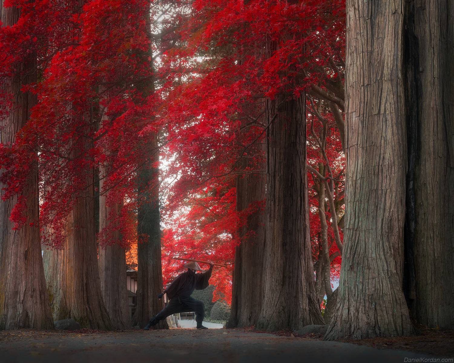 , Даниил Коржонов