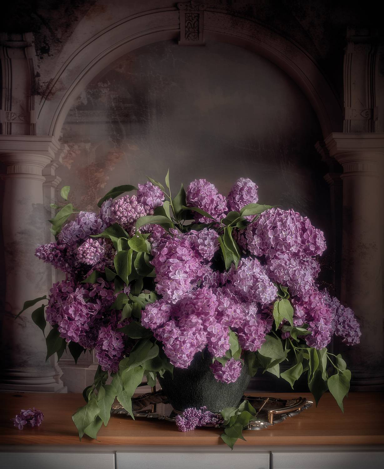 , Виктория Шаманова