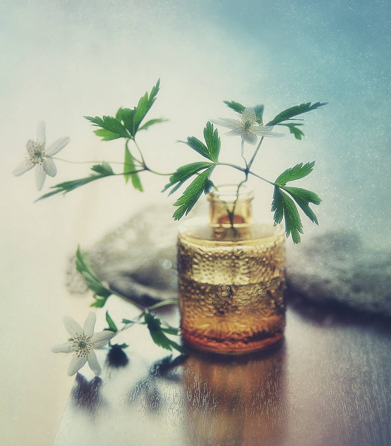 натюрморт,весна,анемоны,ветреницы,цветы, Наталия К