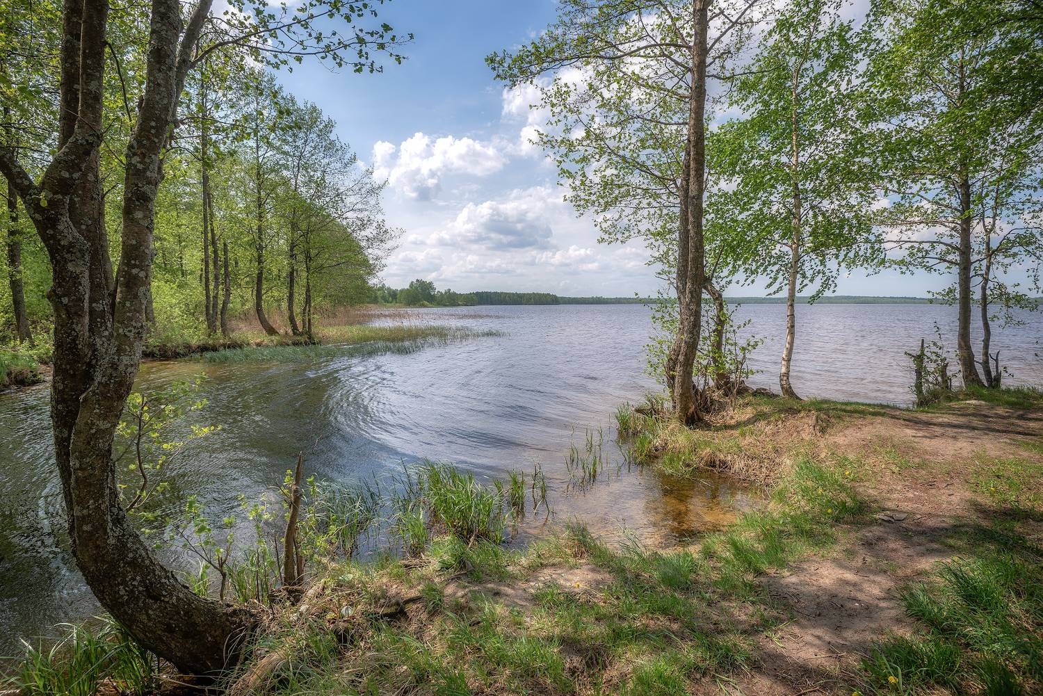 озеро, май, весна, Сергей Аникин