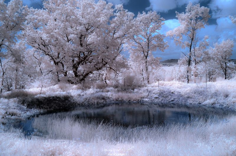 I.R фото превью