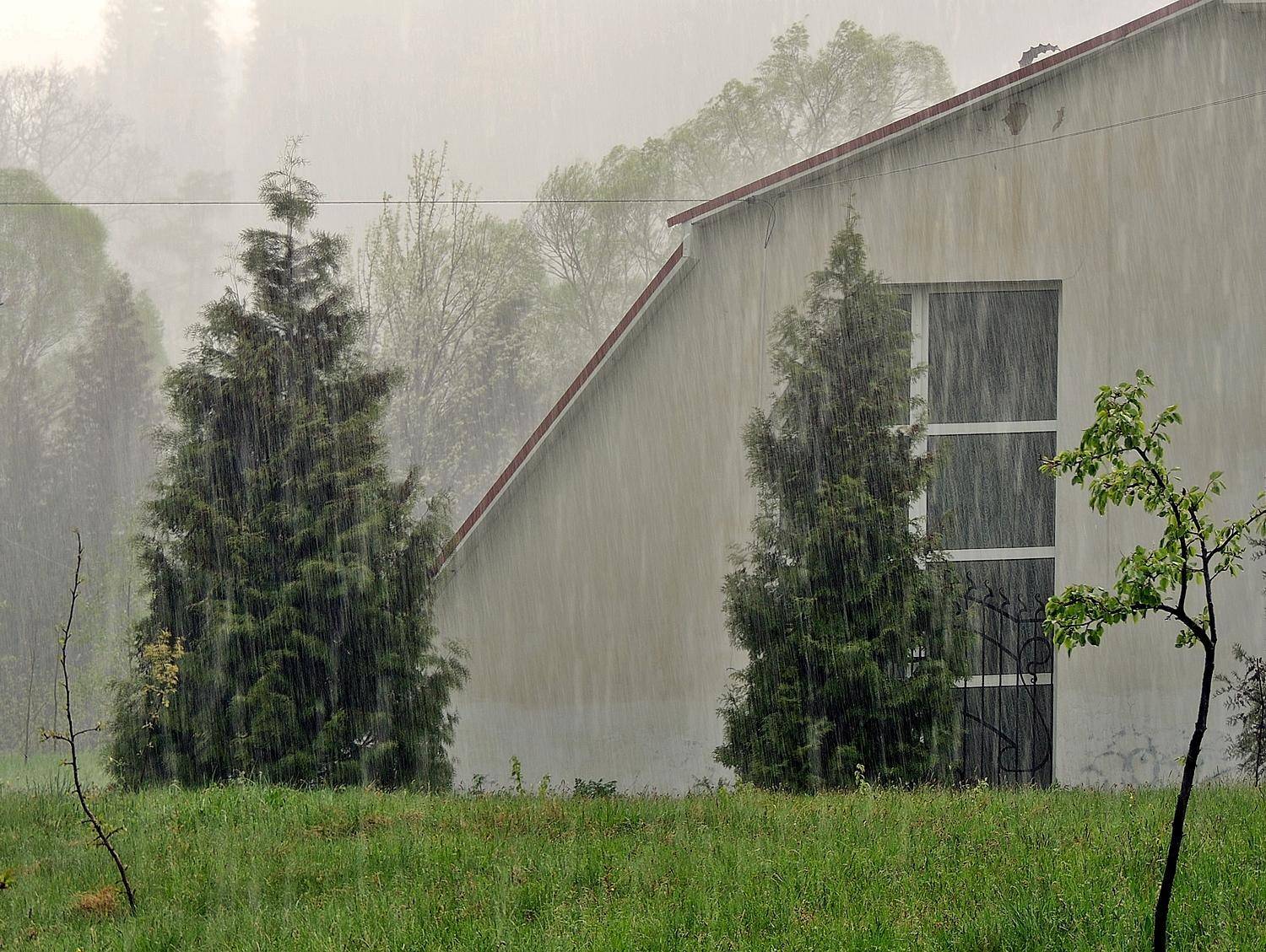, Савоцкий Роман
