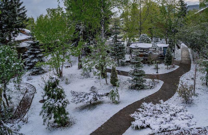 Вид из окна сегодня утром фото превью