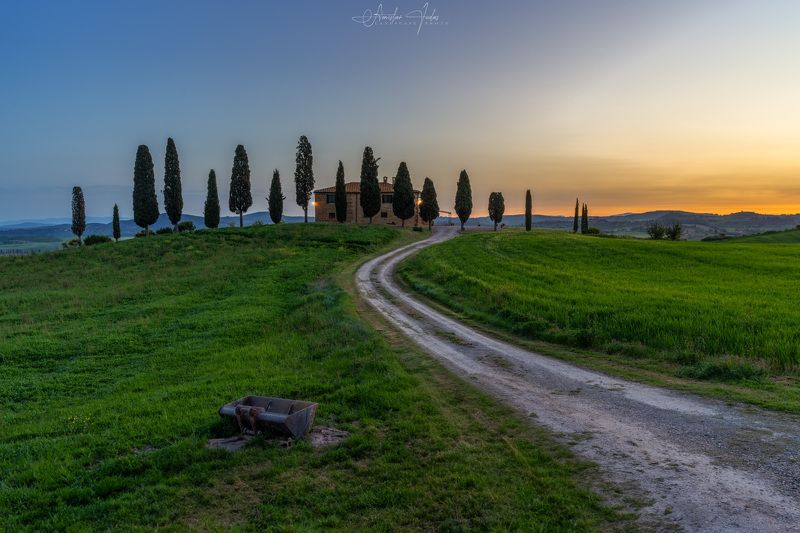 tree, landscape, sky, minimal, sony, tuscany, toscana, italy, field, spring, sunrise Sunrise in Tuscany фото превью