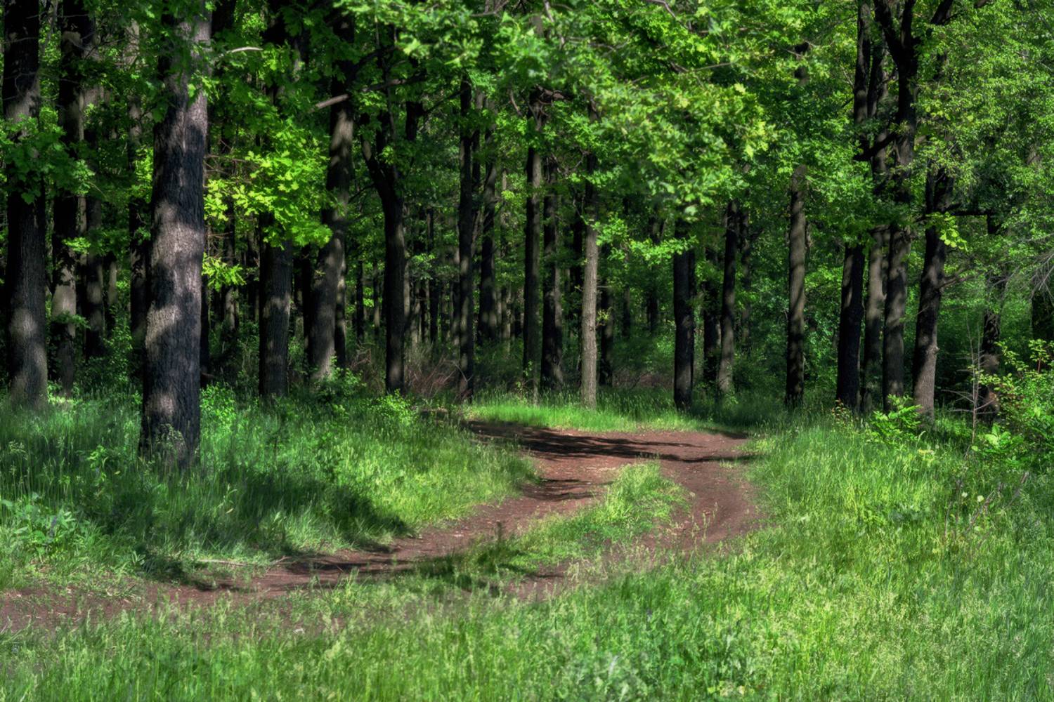 , Лысенко Сергей