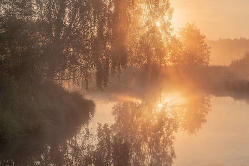 Рассвет на пруду