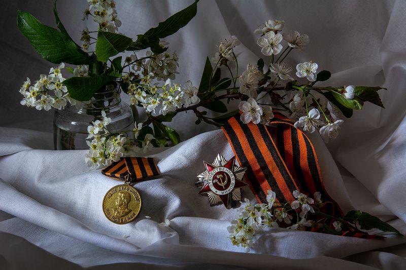 фото превью