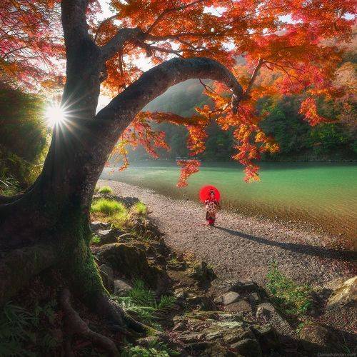 In Japan - Kyoto
