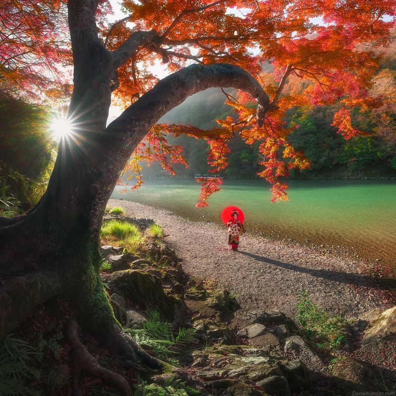 In Japan - Kyoto