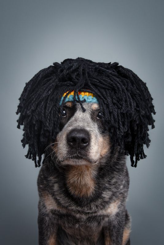 На стиле фото превью