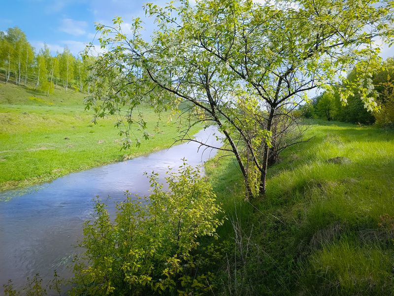 фото превью